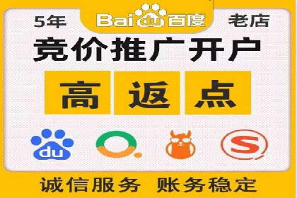 百度竞价排名机制：成功案例与策略探讨